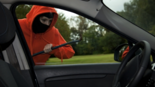 Keep Your F-150 Safe from Rising Ford Thefts