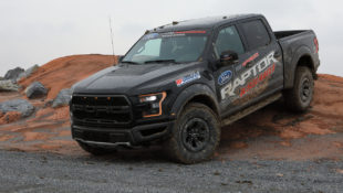 Rare Raptor Nabs Over $150K for Charity