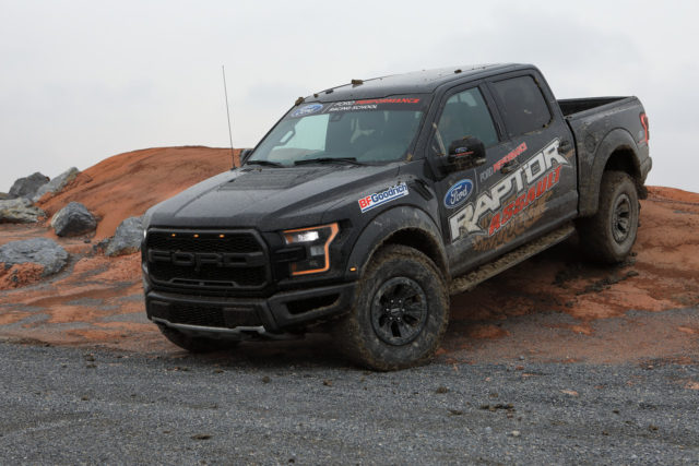 Rare Raptor Nabs Over $150K for Charity
