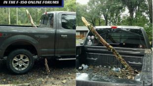 F-150 Aluminum Bed Speared by Tree Branch! Our Forum Reacts…