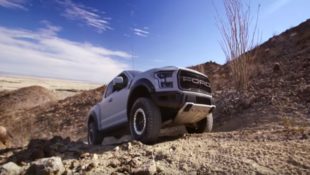 The Raptor Is Great Enough to Cross Language Barriers