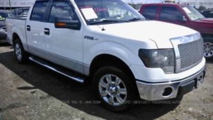 Shopping for a Ford Truck? Learn How to Avoid Flood Damage