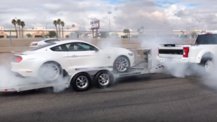 Shelby F-150 & Shelby Mustang double burnout