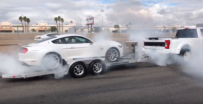 Shelby F-150 & Shelby Mustang double burnout