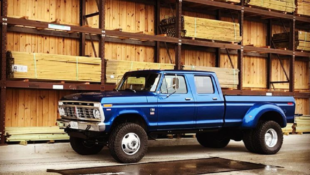 Burris Dentsides 1974 F-350