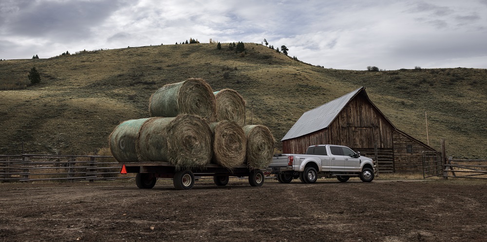 2019 year review F-150 Online